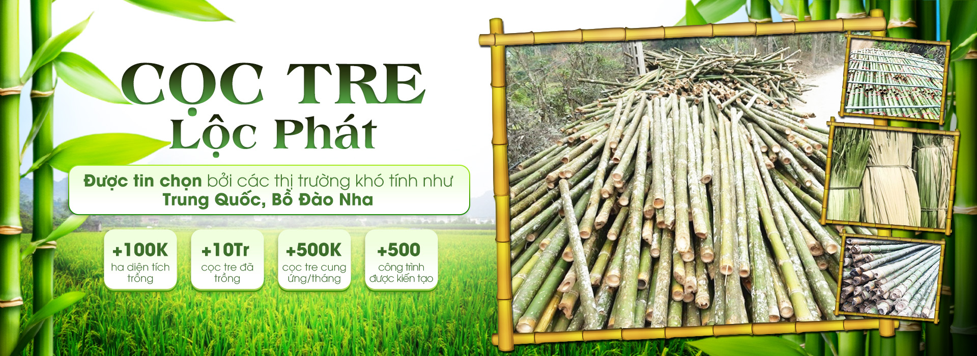 CỌC TRE LỘC PHÁT - CÔNG TY TNHH THƯƠNG MẠI VÀ DỊCH VỤ FORBIGSU VIỆT NAM